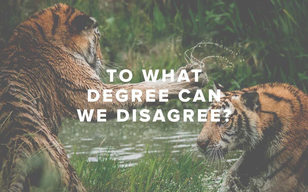 To What Degree Can We Disagree?