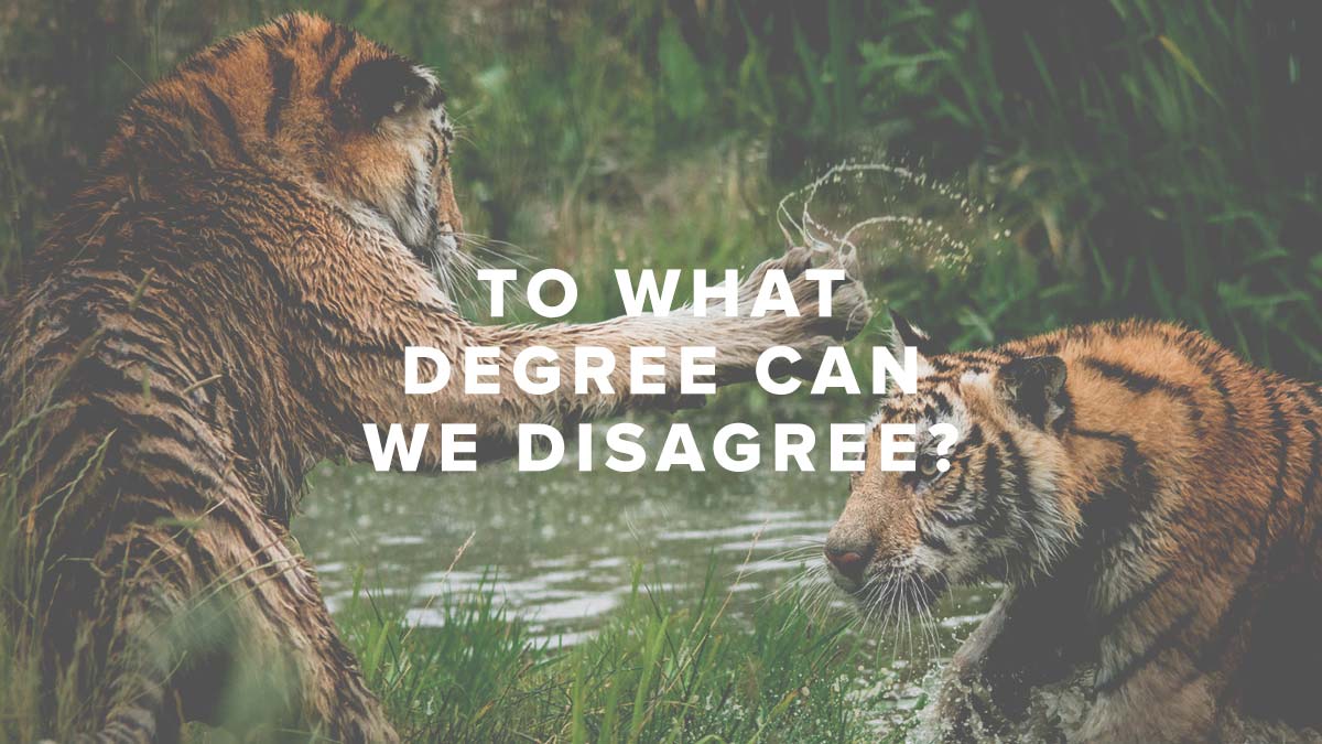 Rusty George - To What Degree Can We Disagree?